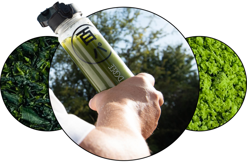 A picture with all product ingredients